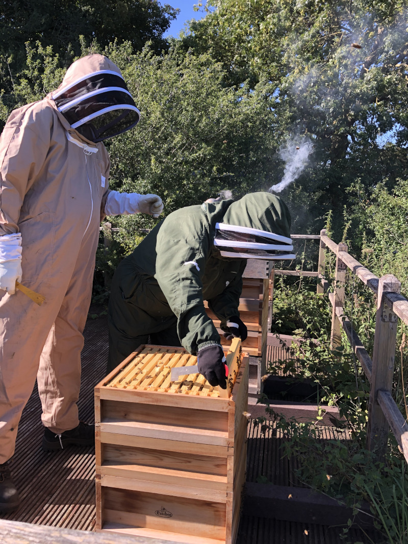 Living Lab beekeeping